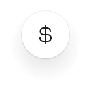 dollar icon