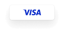 visa icon